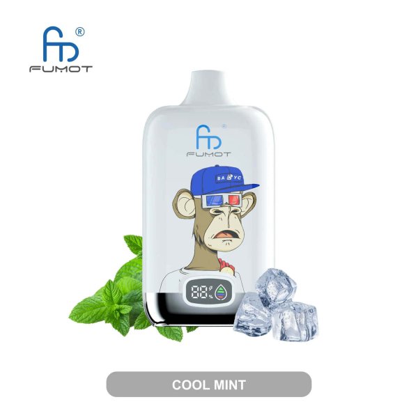 Fumot Randm Tornado digital box 12000 puff disposable vape 06