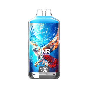 JNR FALCON-X⁺ 28000 puffs vape blueberry pomegranate ice