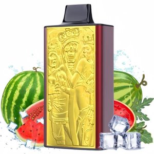 JNR MEGA BOX 25000 puffs vape watermelon ice