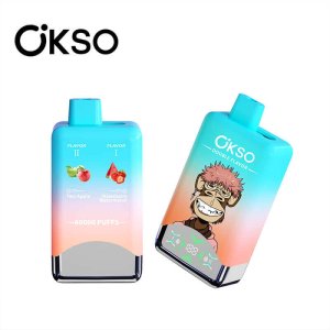 Okso Double Flavors 60k Puffs 2 in 1 Twins DIsposable vape Two Apple & Strawberry Watermelon