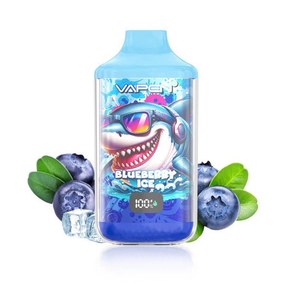 VAPEN MEGA 50K Puffs vape blueberry ice